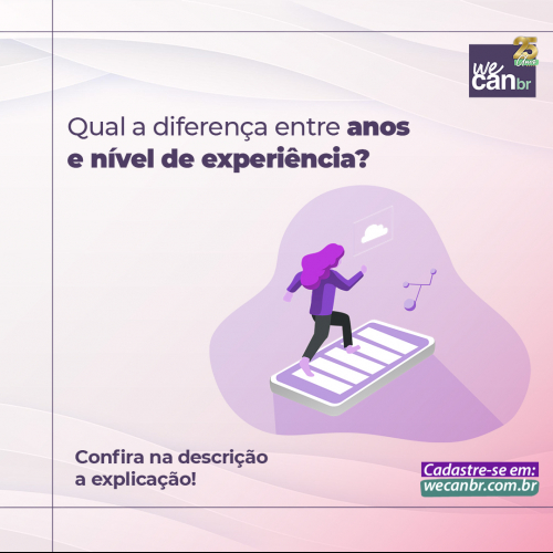 Qual a diferença entre anos e nível de experiência?